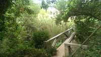  IMAG0367.jpg 